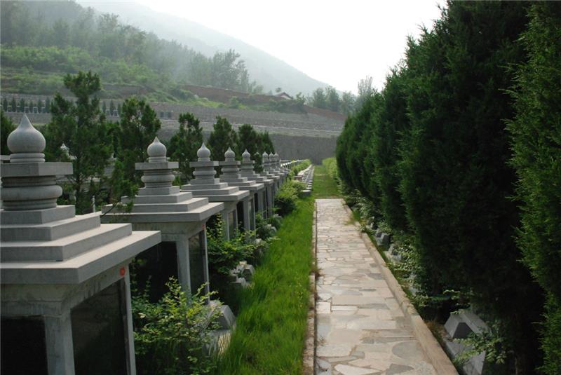 植树葬